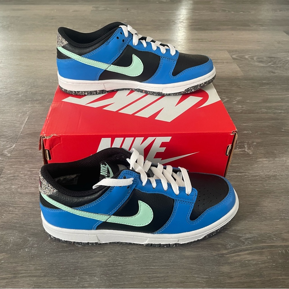 💥 Brand new in box 📦 Nike Dunk Low se